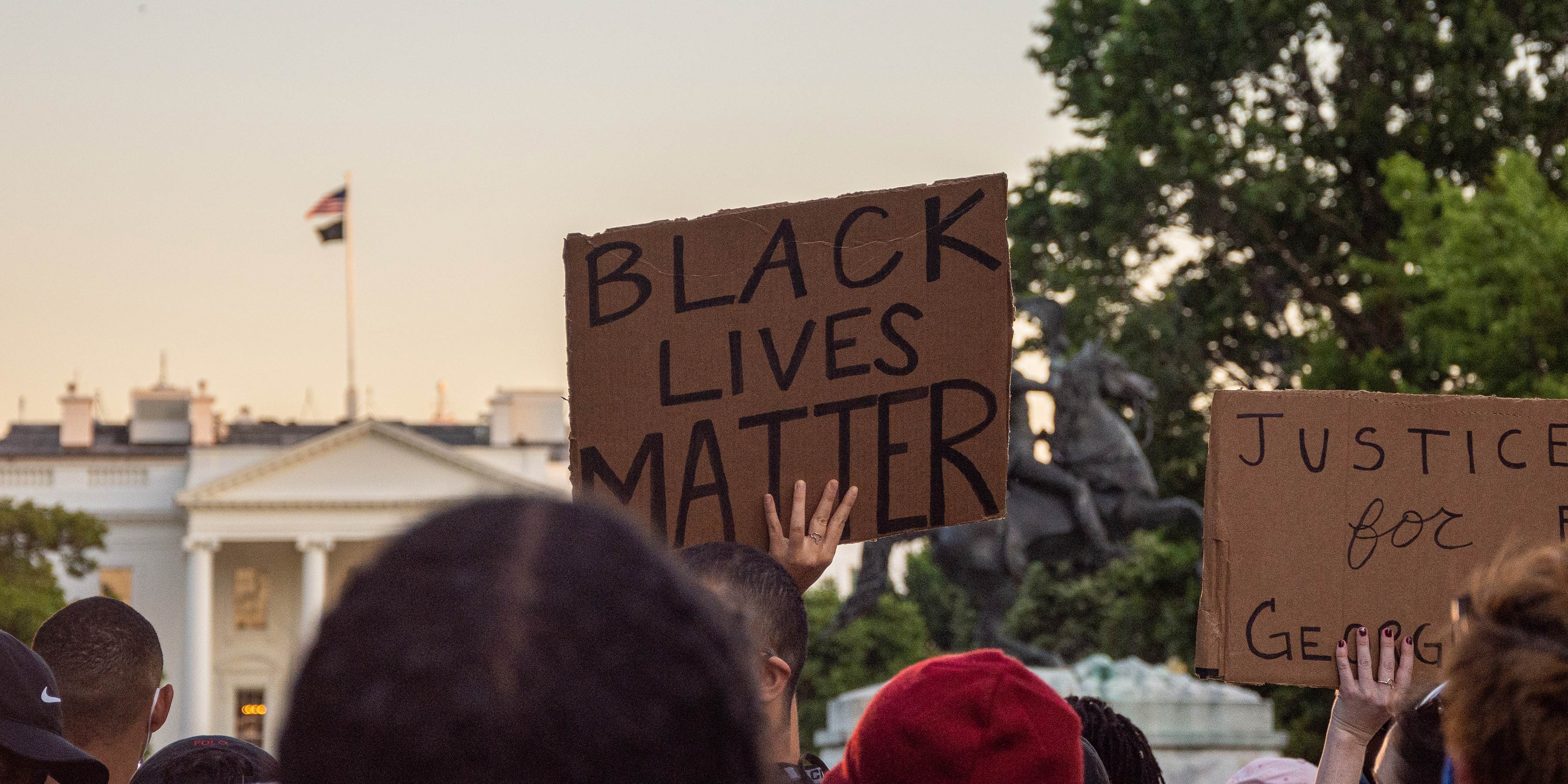 Group of protestors holding signs against police brutality in front of the White House